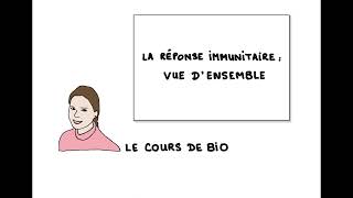 La réponse immunitaire  vue d’ensemble [upl. by Einnek]