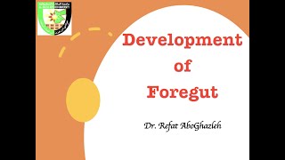 Development of Foregut Full Lecture [upl. by Somisareg]