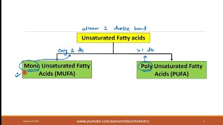 7 Fatty Acids Unsaturated FA [upl. by Macmahon]