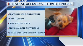 DOGNAPPING Thieves steal familys beloved blind pup [upl. by Airol55]