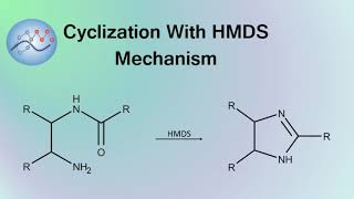 Cyclization With HMDS Mechanism  Organic Chemistry [upl. by Hamlet]