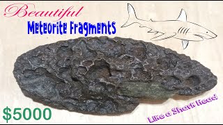 Rare Iron Meteorite fragment  SHARK HEAD [upl. by Nhtanhoj933]