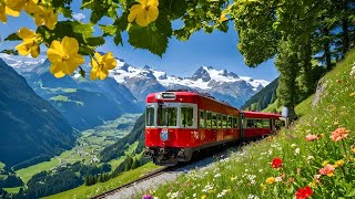 World’s Most Scenic Train Journey in Switzerland  Schynige Platte  Top of Swiss Tradition [upl. by Cai]