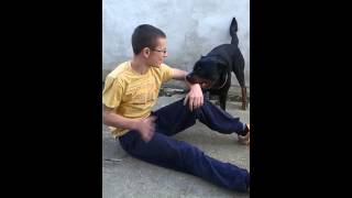 Moja ZVER  Rottweiler attack [upl. by Rekrap89]