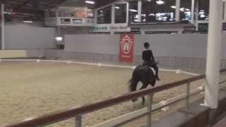 DSP QUINDALE Quaterback x Samarant  30TageTest Münster Handorf 2014 [upl. by Nedak]