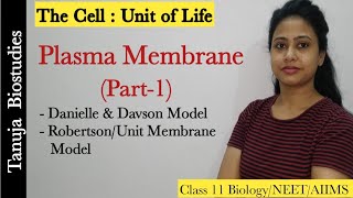 PlasmaCell Membrane Structure and functions Part1Sandwich Models amp Unit Membrane model Class 11 [upl. by Ahsen]