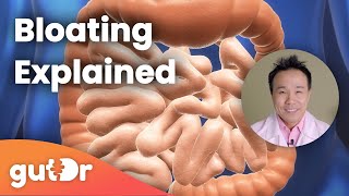 Bloating  The GutDr Explains 3D Gut Animation [upl. by Sharpe]