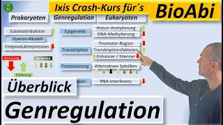 Überblick zur Genregulation bei Prokaryoten und Eukaryoten [upl. by Gildus554]