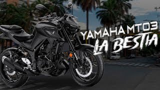 Yamaha MT03 Color Black La pequeña Bestia [upl. by Hartzell]