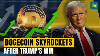 Dogecoin Soars After Trump’s Election Win Boosted by ProCrypto Stance and Musks Support  N18G [upl. by Anitnuahs535]