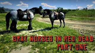 Gray amp Silver Horses in Red Dead Part One [upl. by Narut]