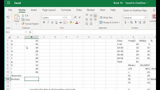 Excel  Skewness and Kurtosis [upl. by Tomlin66]