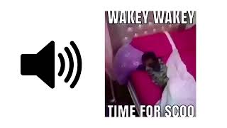 Wakey Wakey Its Time For School  Meme Sound Effect  ProSounds [upl. by Aharon]