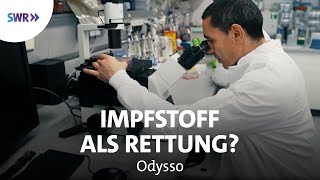 Entwicklung von CoronaImpfstoff gegen CoronaVirus  SWR Wissen [upl. by Ellebanna]