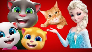 My Talking Tom Friends  Funny Cat  Cat ai image  peach  daisy  Rosabella  🌴🌴💐💐🍎🍎👍👍🤣🤣🎹🎹 [upl. by Harrison]