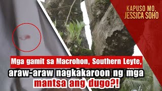 Mga gamit sa Southern Leyte arawaraw nagkakaroon ng mga mantsa ng dugo  Kapuso Mo Jessica Soho [upl. by Epifano139]