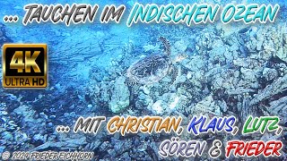 Tauchen im Indischen Ozean 🐢 🐬 🐡 … [upl. by Sucam]