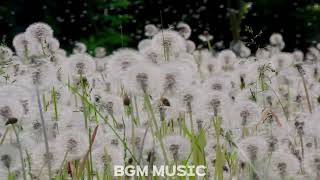 BGM Spring like acoustic sounds [upl. by Humphrey]