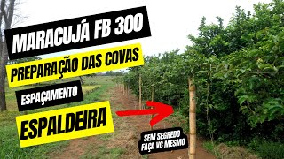 Plantio de Maracujá FB 300 Espaçamento Ideal Adubação Covas e Espaldeira  Faça Você Mesmo [upl. by Gavriella]