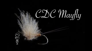 CDC Mayfly final [upl. by Eloccin]