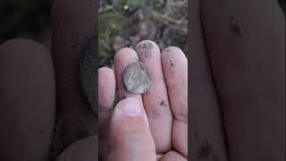 244 years old King Gustaf IIIs silver coin metaldetecting metallinetsintä history sweden [upl. by Etat]