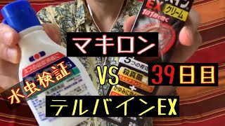 【水虫検証139】少し見た目が汚くなりました。 [upl. by Roose]