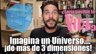 ¿Por qué vivimos en un universo de 3 DIMENSIONES [upl. by Priscella244]