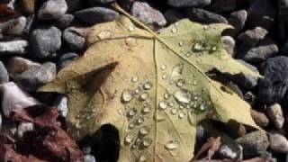 Leaves of Autumn [upl. by Vickie]