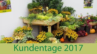 Kientzler Kundentage 2017  Herbstzauber Chrysanthemum amp Sommertopf [upl. by Etat]