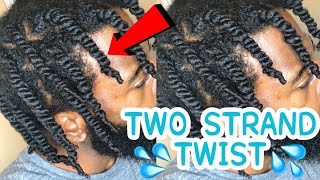 Two Strand Twist on Natural Hair  THE BEST WAY [upl. by Hpeosj]