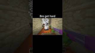 Minecraft Meme [upl. by Sherborne]