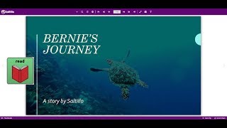 Bernies Journey by Saltillo [upl. by Llemmart360]