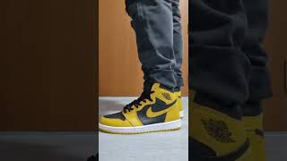 AJ1 pollen on feet [upl. by Atinnod]