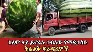 ብየአለማችን ትልልቆቹ ፍራፍሬዎችworld biggest fruits Zena Addisethiopia [upl. by Yllas]