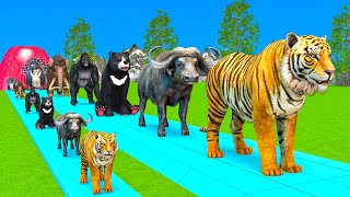 Paint Animals DuckTigerCowLionBuffaloGorillaElephantDinosaur Fountain Crossing Animal Game Da [upl. by Toby]