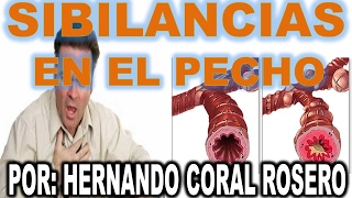 SIBILANCIAS EN EL PECHO PROBLEMAS RESPIRATORIOS CON SONIDOS EVIDENTES AL INHALAR O EXHALAR AIRE [upl. by Ahsetel287]