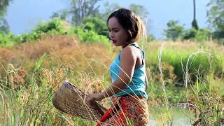 Beautiful Girl Fishing  Amazing Fishing In Cambodia How To Lady Fishing By Hand05 [upl. by Verina]