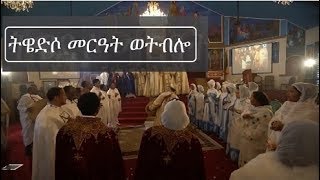 Twédso Merat Wetblo ትዌድሶ መርዓት ወትብሎ  Ethiopia Orthodox Tewahedo Wedding Mezmur የሰርግ መዝሙር [upl. by Aker]