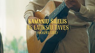 kamanių šilelis  aš lauksiu tavęs gospel live [upl. by Snyder496]