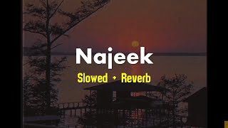 Najeek  Slowed amp Reverb  Bartika Eam Rai  SLOREV [upl. by Naggem]