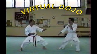 VIRTUAL DOJO avec Boris BOITEUX amp Gérard METZGER [upl. by Iroj]