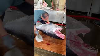 Blackfin Tuna First Slice – A Masterclass in Precision [upl. by Nylesor417]