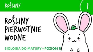 Rośliny 1  Rośliny pierwotnie wodne krasnorosty i zielenice  biologia do matury [upl. by Oirasor]