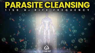 1150 Hz Parasite Cleansing Frequency Rife Frequency for Parasite Cleanse [upl. by Aneert686]