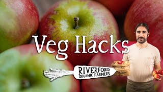 Apples  3 PERFECT ways of using your apples  VEG HACKS [upl. by Esalb]