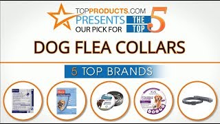 Best Dog Flea Collar Reviews – How to Choose the Best Dog Flea Collar [upl. by Peednus895]