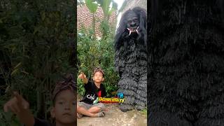 adik bocil sakti di gangung pocong panggil grandong buat usir pocongnya [upl. by Nnire]