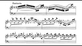 J S Bach  Chromatic Fantasia and fugue BWV 903  Raphaël Mirensky [upl. by Rissa474]