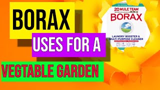 Borax Uses For Vegetable Gardening [upl. by Ratep]