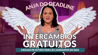 Como fazer intercâmbio gratuito em 2024 curso de inglês nos EUA phd e mais  Partiu Intercâmbio [upl. by Ahselat]